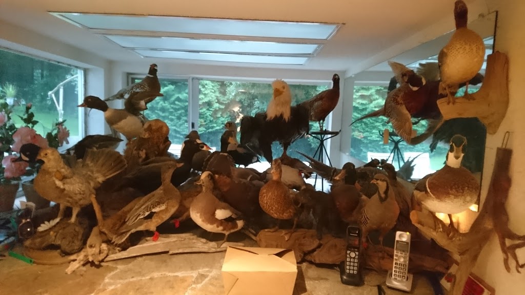 Capilano Furs & Taxidermy Studios | 4070 Delbrook Ave, North Vancouver, BC V7N 4A1, Canada | Phone: (604) 987-2000