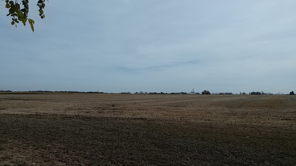 Leedham Farms L.T.D | 615 Front Rd, St Williams, ON N0E 1P0, Canada | Phone: (519) 586-2399
