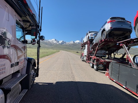 Professional Car Carriers | 14 Wrangler Pl SE, Alberta T1X 0L7, Canada | Phone: (888) 755-6888