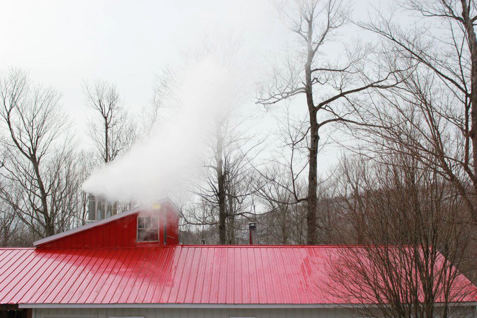 Érablière Jérémie Tétreault | 2104 Chem. Jodoin, Saint-Paul-dAbbotsford, QC J0E 1A0, Canada | Phone: (450) 405-9719