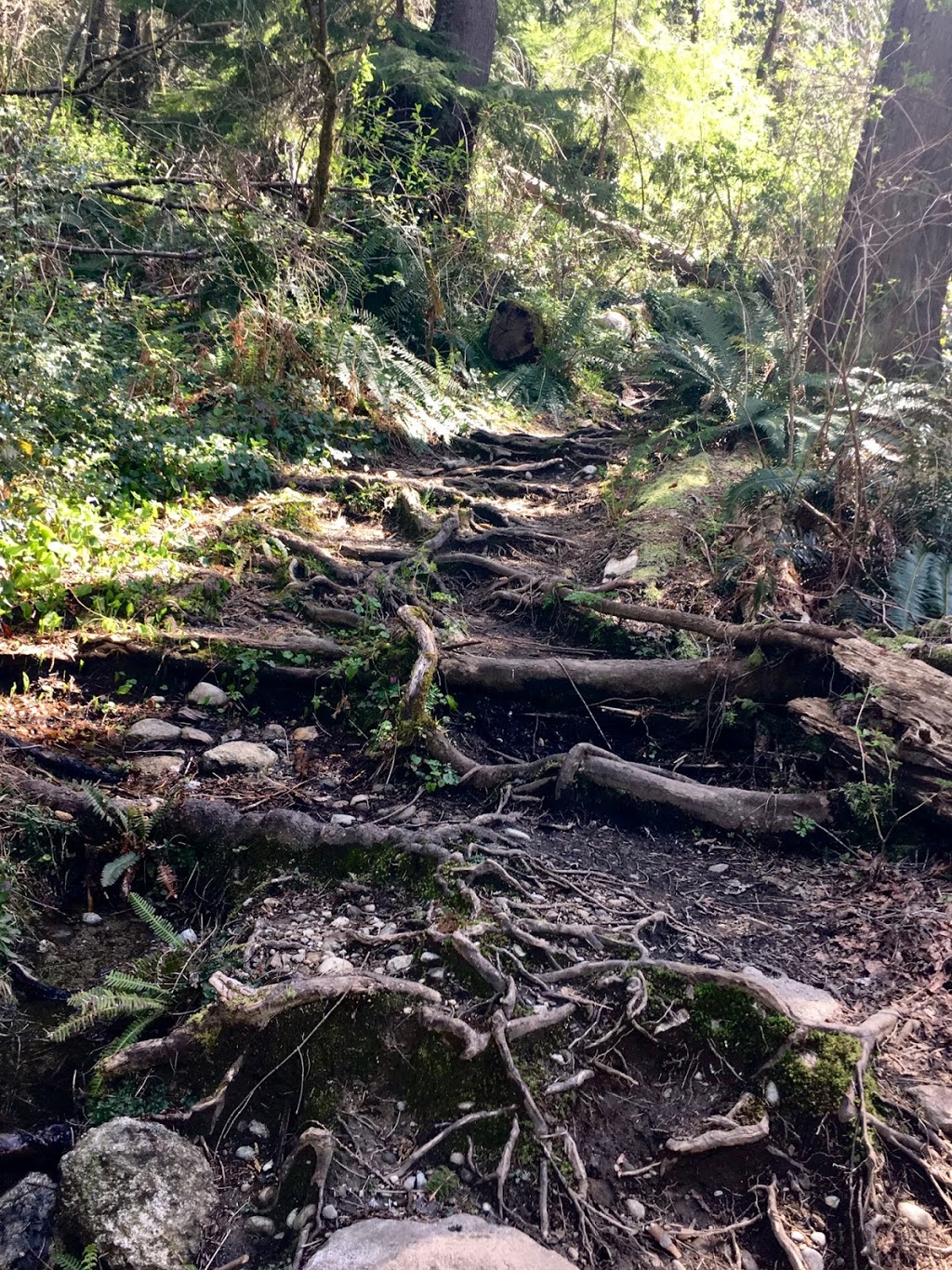 Trans Canada Trail | Trans Canada Trail, Burnaby, BC V5A 1G9, Canada