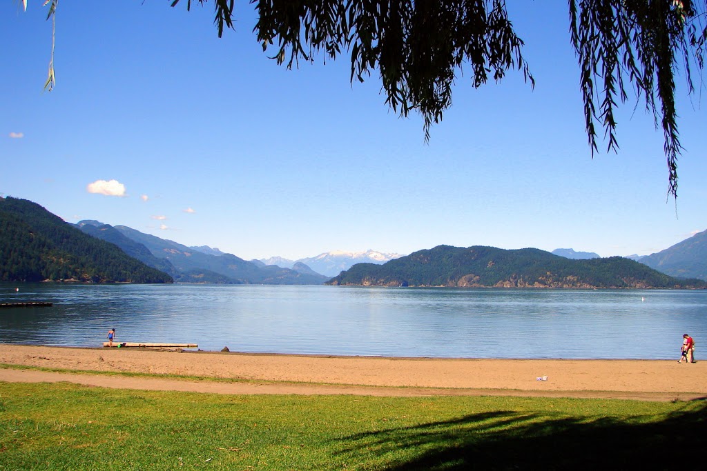 Harrison Lake Market | 196 Esplanade Ave, Harrison Hot Springs, BC V0M 1K0, Canada | Phone: (604) 796-2180