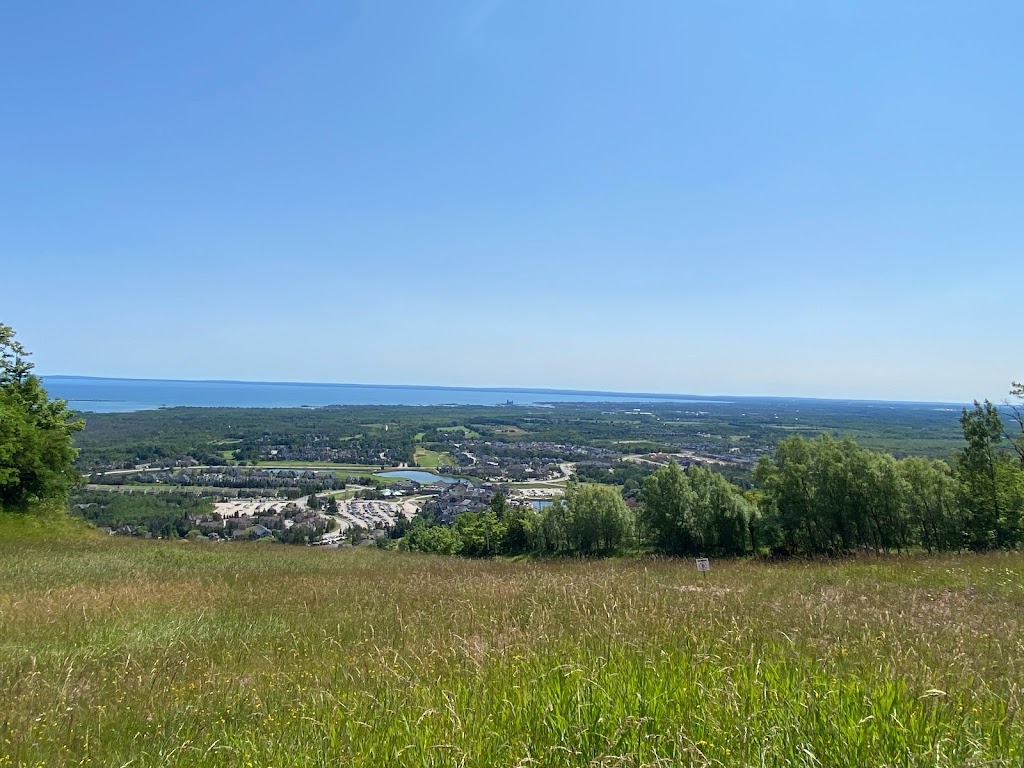 Apple Bowl Lookout | GM2H+Q2, The Blue Mountains, ON L9Y 0N8, Canada | Phone: (833) 583-2583
