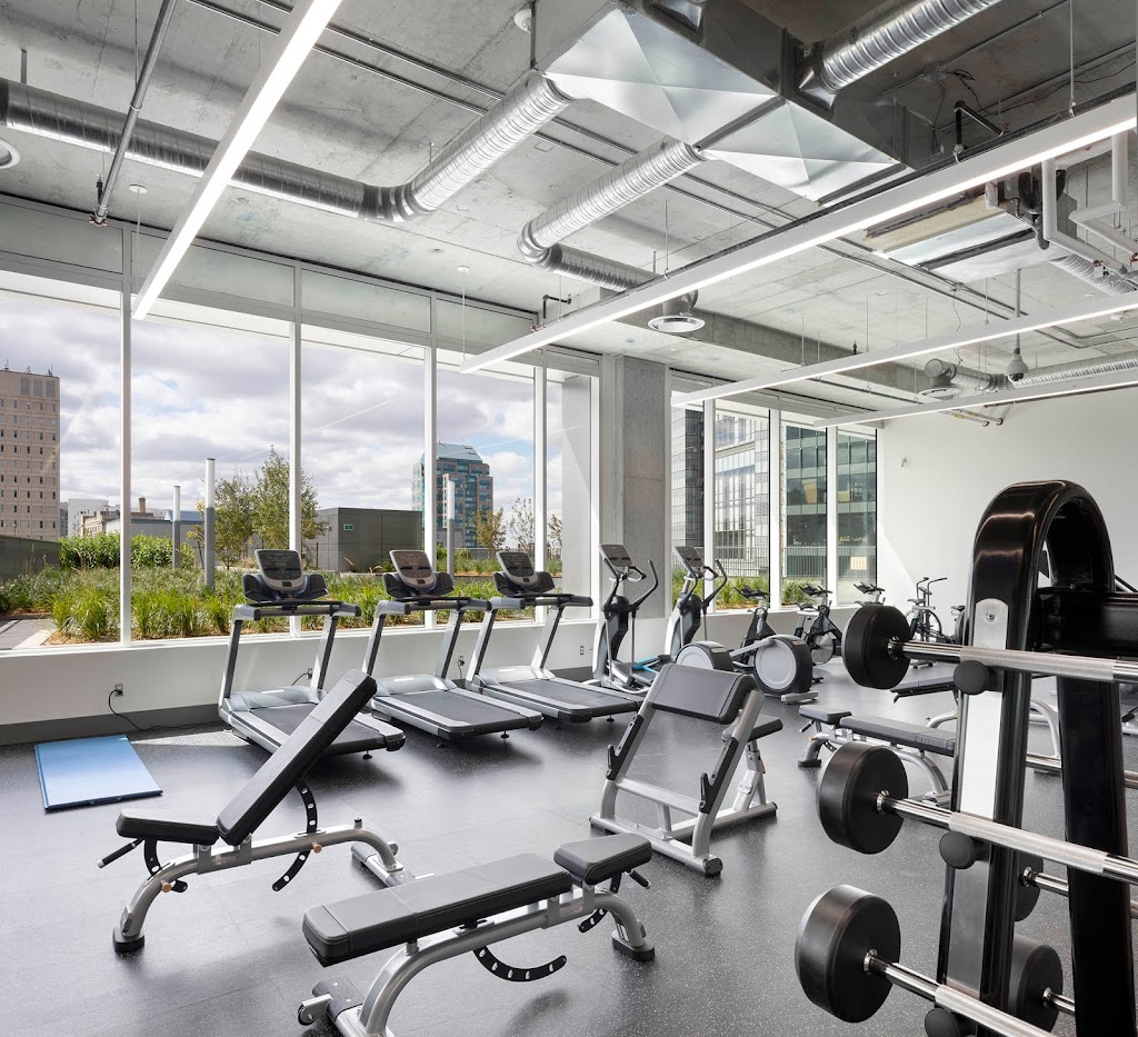 225 Carlton | 225 Carlton St, Winnipeg, MB R3C 0V3, Canada | Phone: (431) 800-2992