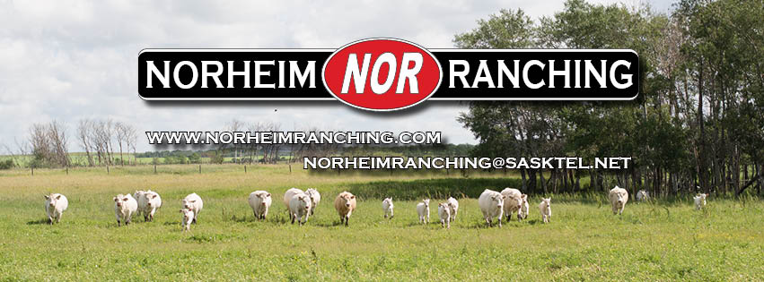 Norheim Ranching | Range Road 2270 and, SK-1, Moose Jaw, SK S6K 4P8, Canada | Phone: (306) 690-3424