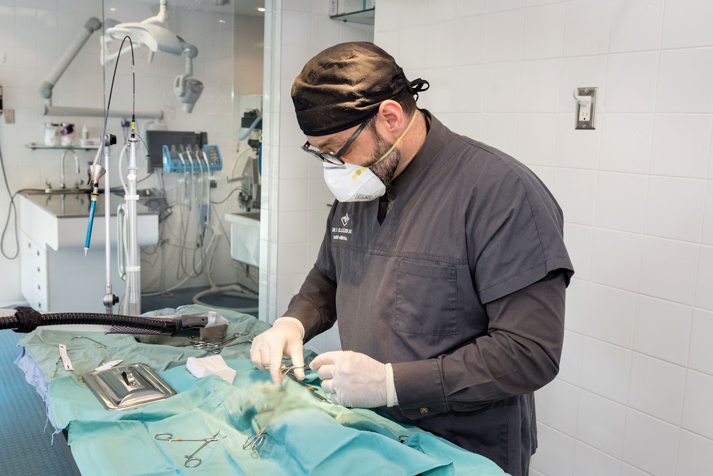 Hôpital Vétérinaire Verdun | 5650 Rue de Verdun, Verdun, QC H4H 1L5, Canada | Phone: (514) 762-4300