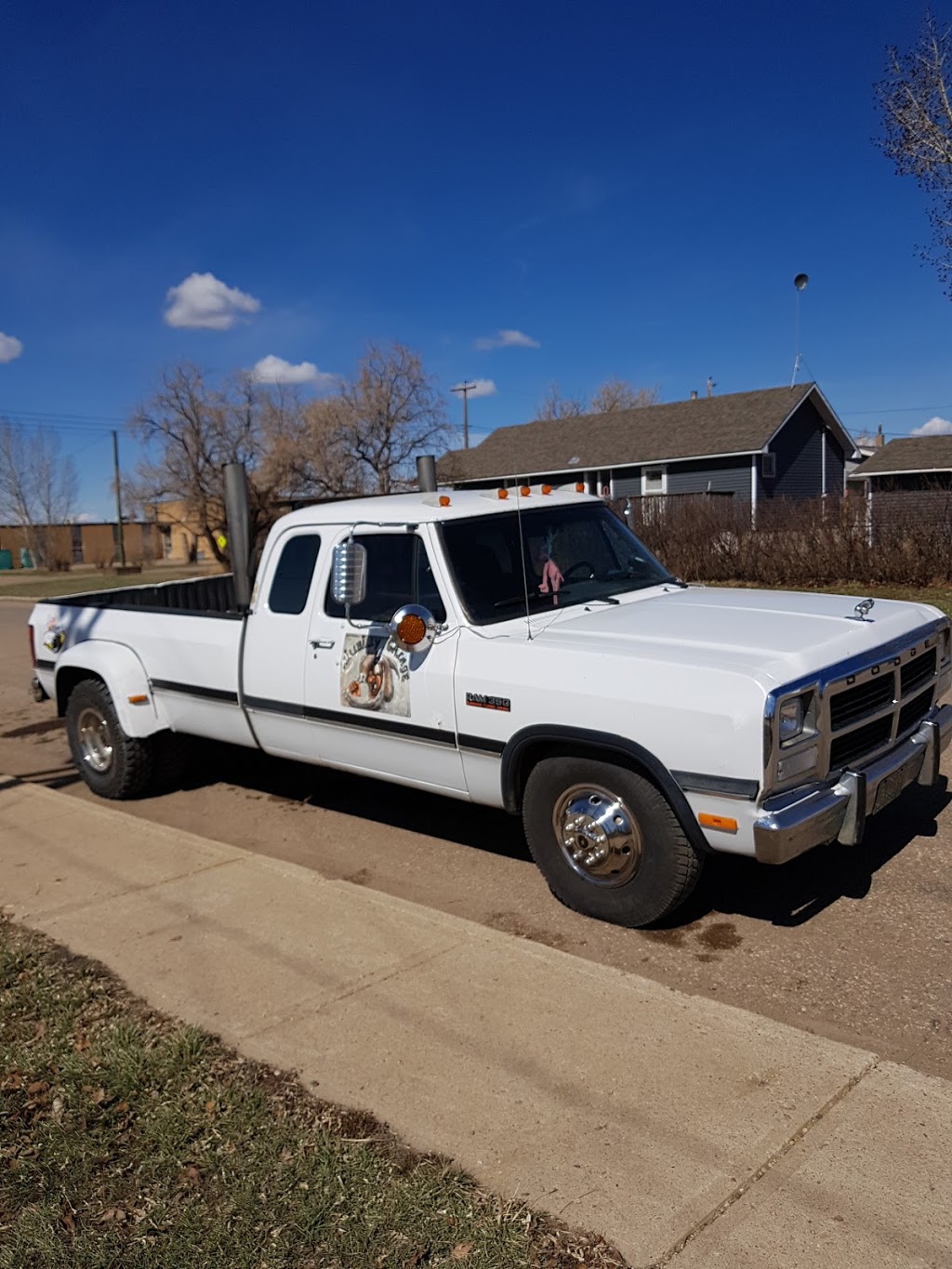 Bumper to Bumper-Auto Parts Central Inc. | 1500 Regent Ave W #8, Winnipeg, MB R2C 3A8, Canada | Phone: (204) 944-7769