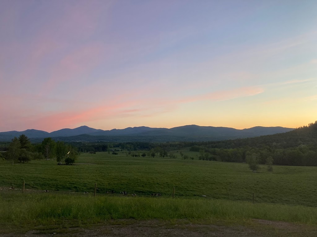 Ferme Province Hill | 91 Chem. de Province Hill, Mansonville, QC J0E 1X0, Canada | Phone: (438) 872-9135