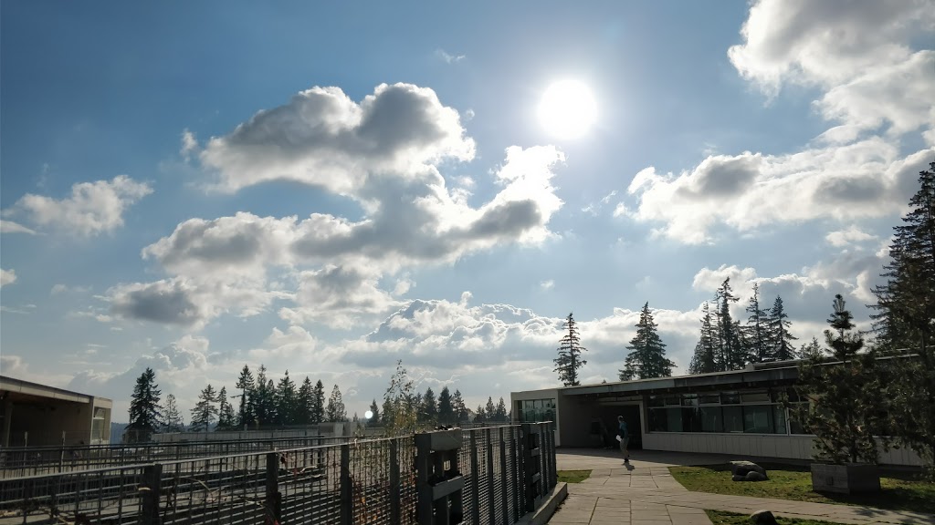 Eagle Mountain Middle School | 110 Dogwood Dr, Anmore, BC V3H 5G1, Canada | Phone: (604) 469-1133