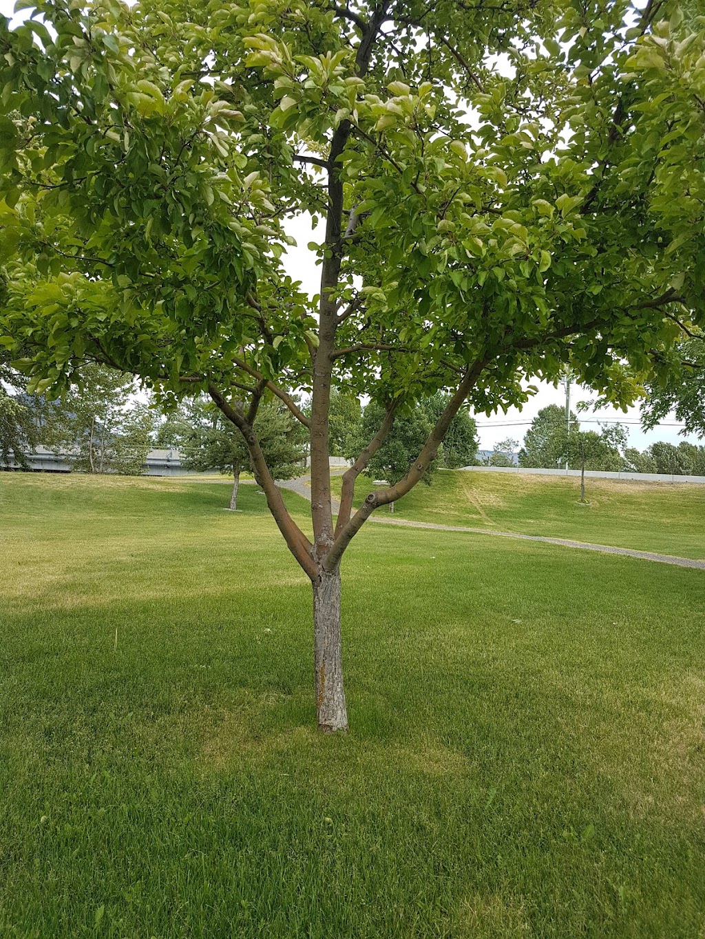 Centennial Park | 1350 Government Ave, Merritt, BC V1K 1K6, Canada | Phone: (250) 378-4224
