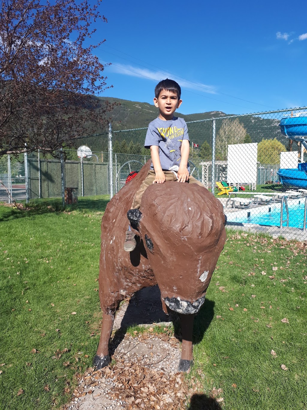 Blairmore Lions Park | 11913 20 Ave, Blairmore, AB T0K 0E0, Canada | Phone: (403) 562-8643