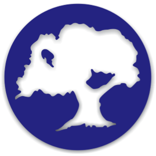 Oakhill Environmental | 16 Walnut St, St. Catharines, ON L2T 1H3, Canada | Phone: (905) 988-1243