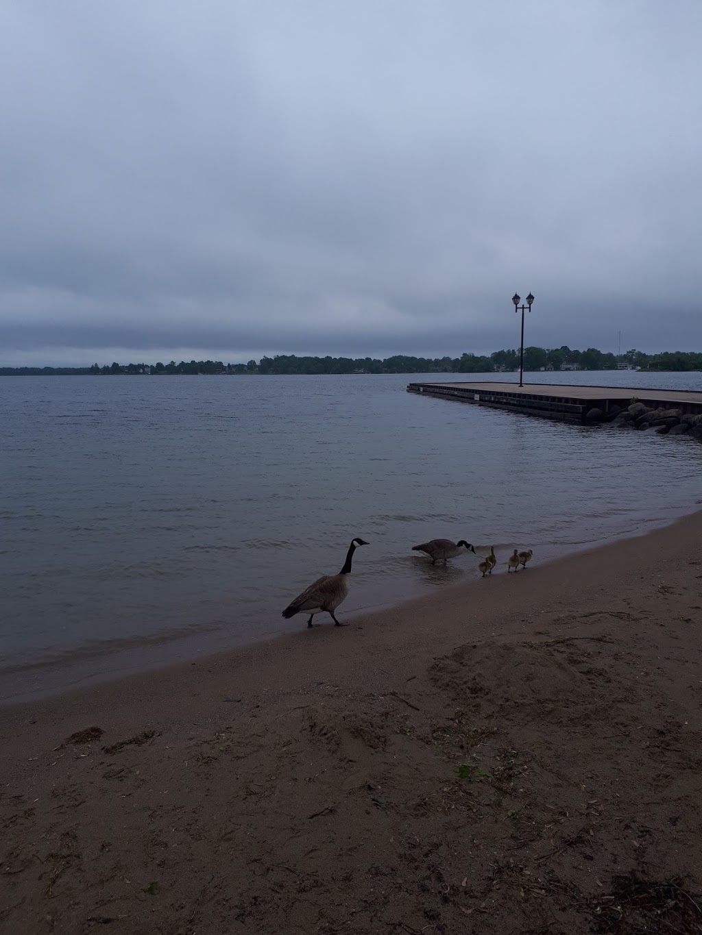 Couchiching Beach Park | 140 Canice St, Orillia, ON L3V 4H8, Canada | Phone: (705) 329-7250