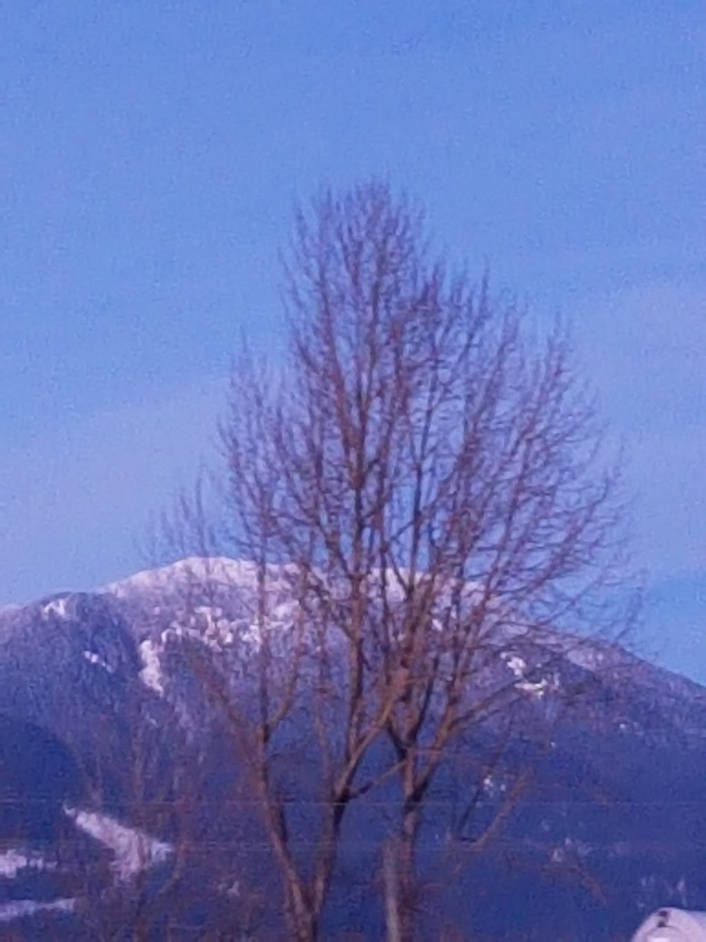 Cedarwal Farms | 5722-5854 Interprovincial Hwy, Abbotsford, BC V3G 2P7, Canada | Phone: (236) 833-8418
