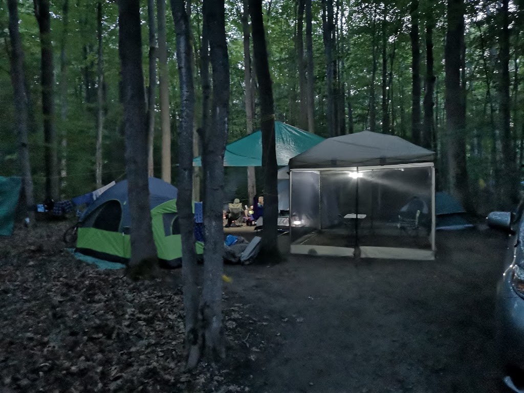 Hawk Campground | Tiny, ON L9M 1R2, Canada | Phone: (800) 668-2746