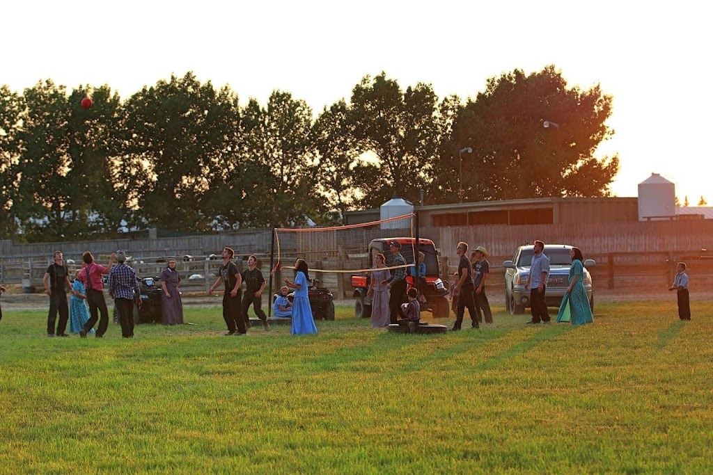 Cameron Farms | Taber, AB T0K 2H0, Canada | Phone: (403) 359-5115