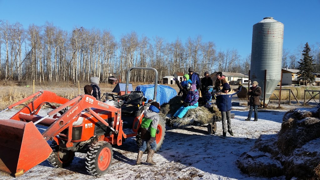 Good Note Community Farm | 510 Township Rd 510, New Sarepta, AB T0B 3M0, Canada | Phone: (780) 941-2341