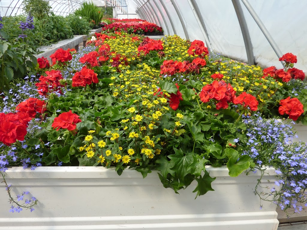 Island Pride Garden Co. Wood Islands | 854 TCH, PE-1, Wood Islands, PE C0A 1R0, Canada | Phone: (902) 962-2044