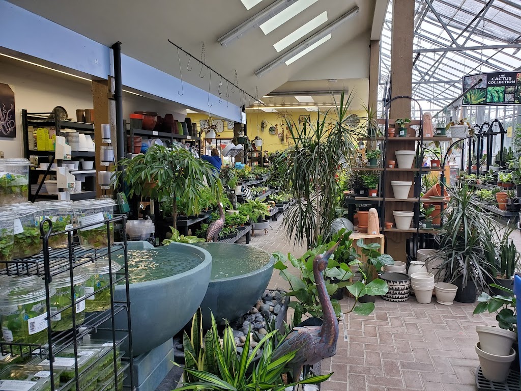 B Dinter Nursery Ltd | 2205 Phipps Rd, Duncan, BC V9L 6L2, Canada | Phone: (250) 748-2023