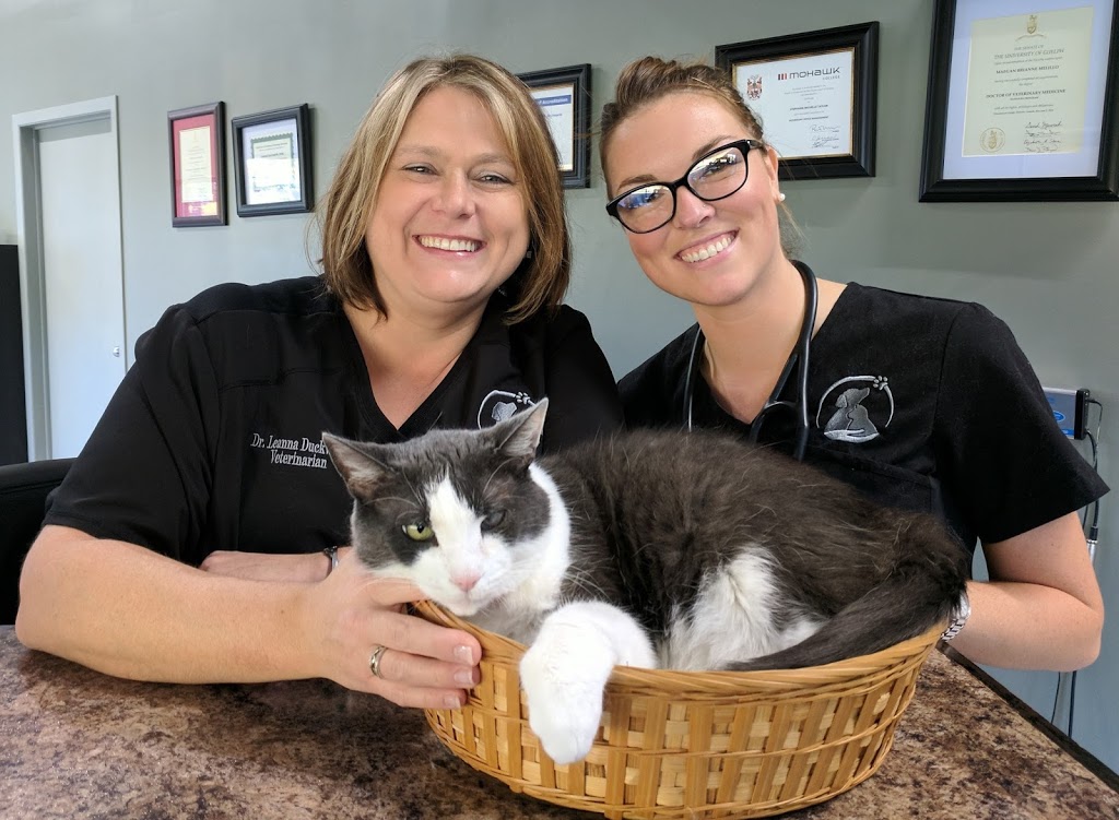 Breslau Animal Hospital | 2057 Victoria St N #3, Breslau, ON N0B 1M0, Canada | Phone: (519) 648-9738