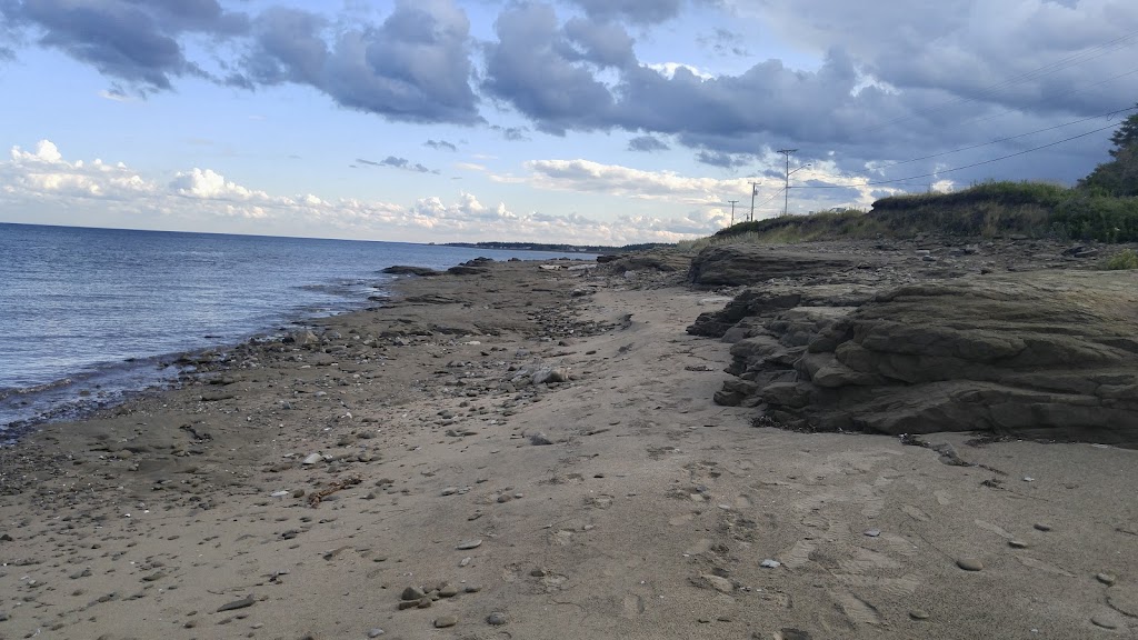 Salt Shed | 34 Cap Lumière Rd, Richibucto-Village, NB E4W 1E1, Canada | Phone: (506) 523-9941