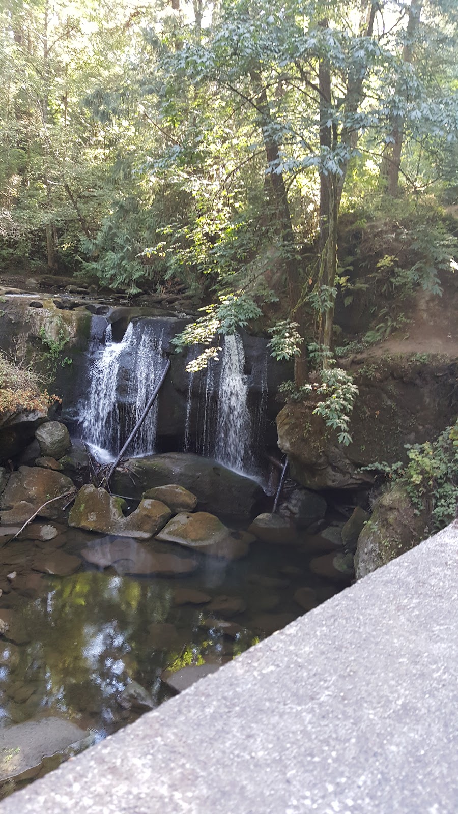 Whatcom Falls Park | 1401 Electric Ave, Bellingham, WA 98229, USA | Phone: (360) 778-7000