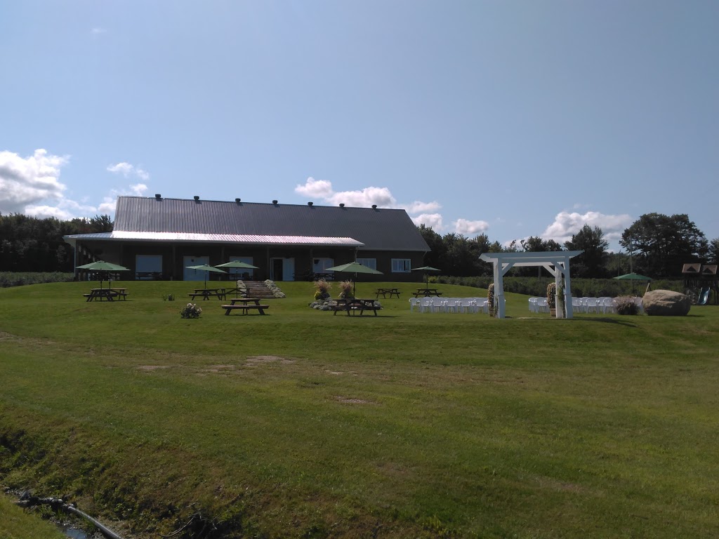 Les Vergers Ivanhoë Faille | 2232 Montée Brooks, Franklin, QC J0S 1E0, Canada | Phone: (450) 827-2742