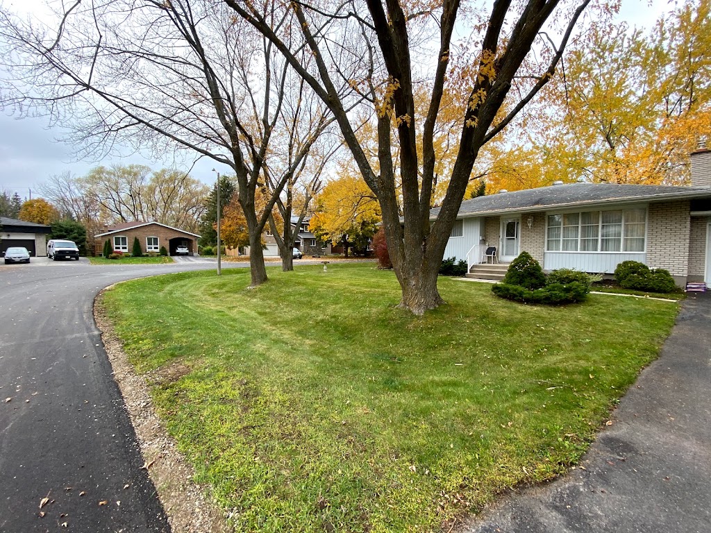 Collingwood MK Lawn Care | 114 Katherine St, Collingwood, ON L9Y 3R5, Canada | Phone: (705) 441-2747