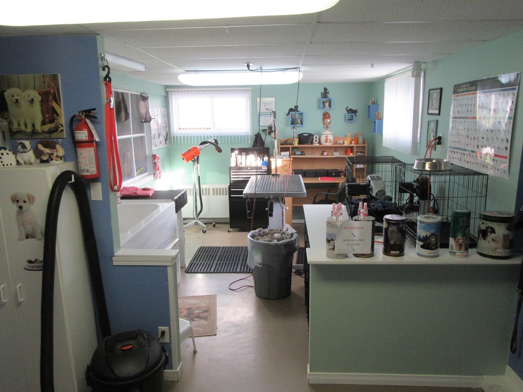 AT BEAUTY SALON DOG AND CAT | 1735 Av. de la Famille, Québec, QC G2G 1M2, Canada | Phone: (418) 877-5171
