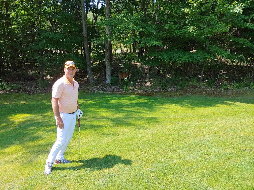 Parry Sound Golf & Country Club | 50 George Hunt Memorial Dr, Parry Sound, ON P2A 2W9, Canada | Phone: (705) 342-5262