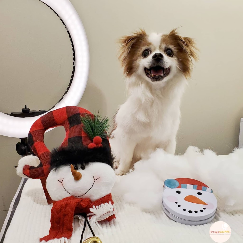Pet Pet Square..(Grooming,Daycare,Home Boarding) | 6012 Denbigh Ave, Burnaby, BC V5H 3R5, Canada | Phone: (236) 513-9738