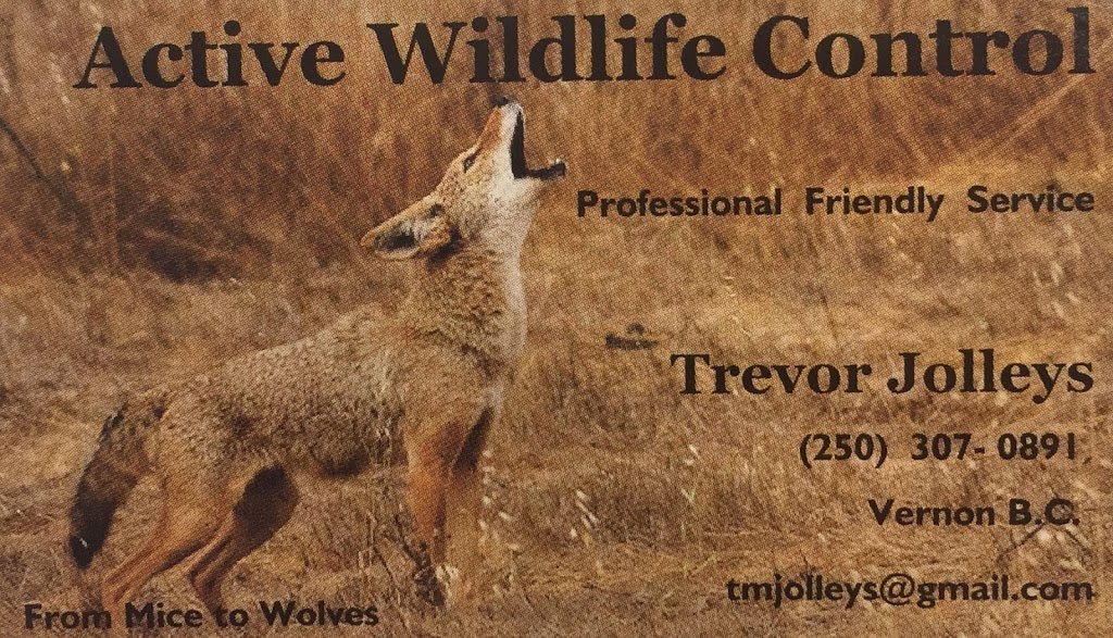 Active Wildlife Control | 20 Ridgeview Rd, Vernon, BC V1B 3S2, Canada | Phone: (250) 307-0891