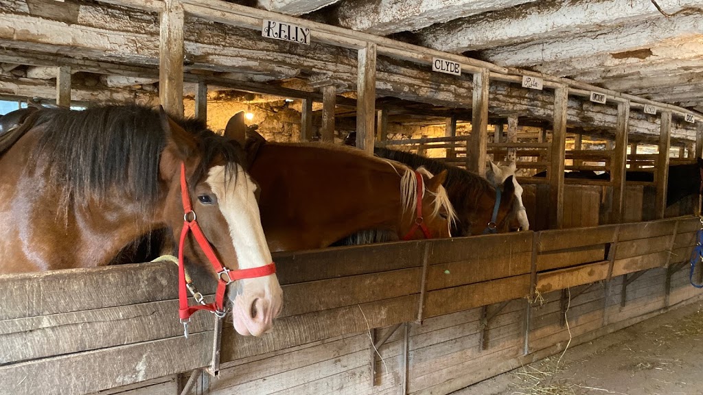 The Ranch | 2401 Burnhamthorpe Rd W, Oakville, ON L6M 4H1, Canada | Phone: (905) 469-2989