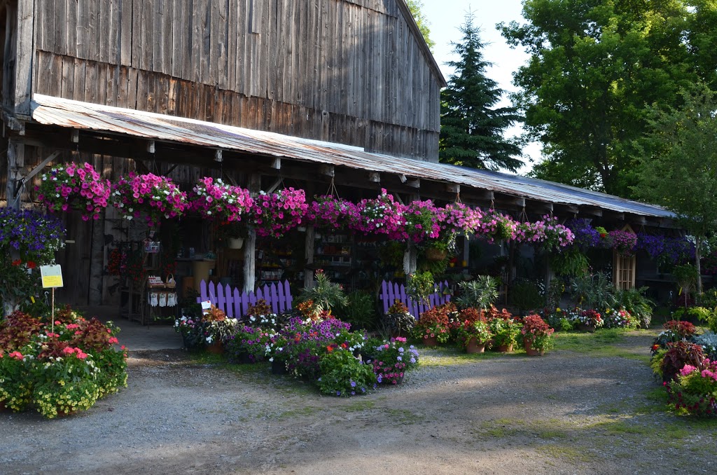 Farmgate Gardens | 525 Frankford Rd, Foxboro, ON K0K 2B0, Canada | Phone: (613) 967-1581