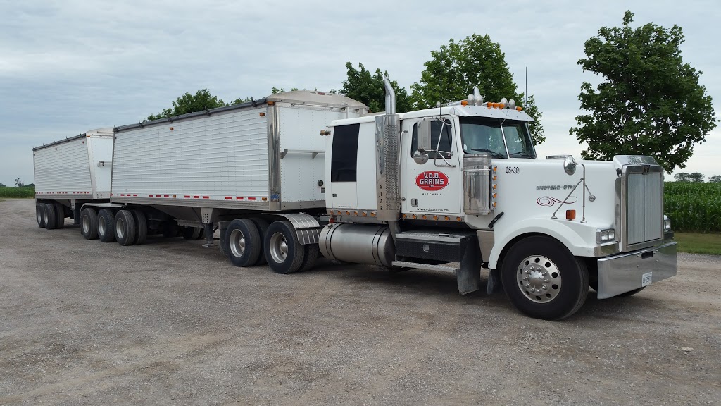 V.D.B. Grains Ltd. | 6448 Perth Line 34, Mitchell, ON N0K 1N0, Canada | Phone: (519) 348-4560