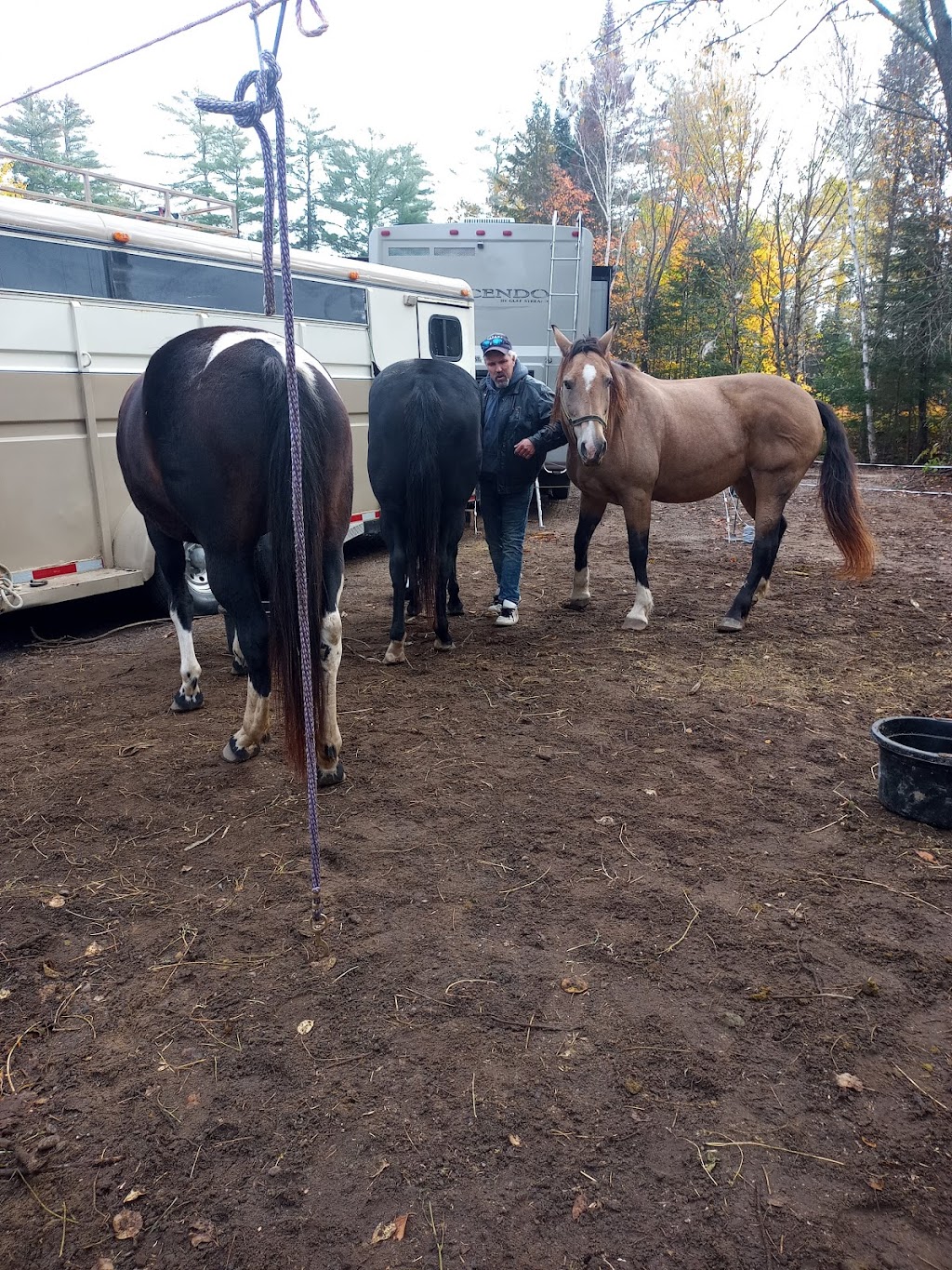 South Algonquin Trails | 4378 Elephant Lake Rd, Harcourt, ON K0L 1X0, Canada | Phone: (705) 448-1751