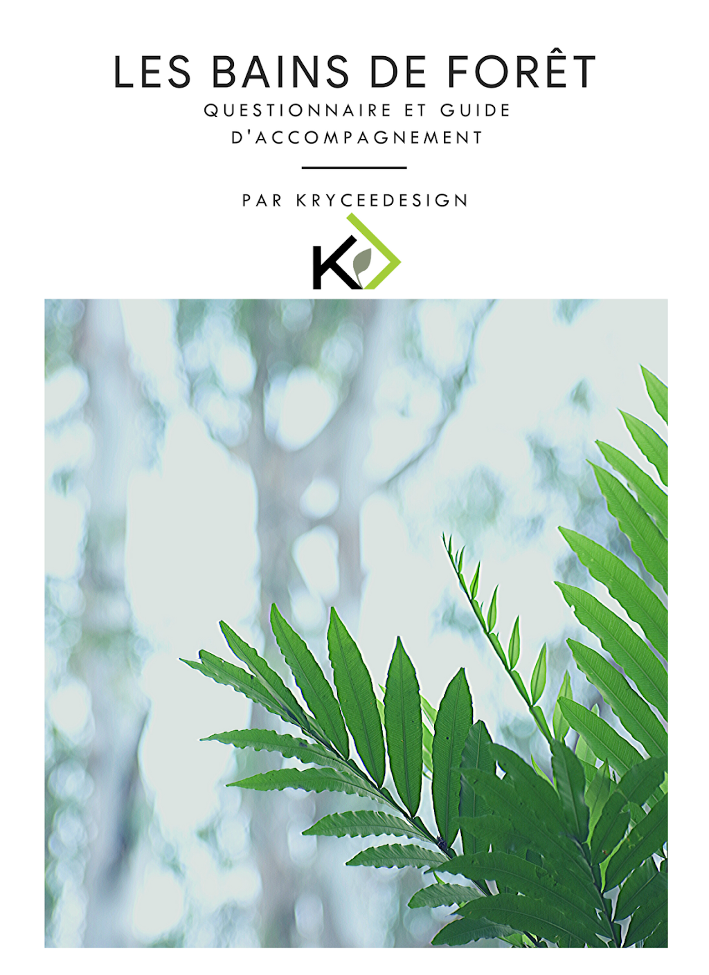 KryceeDesign | 173 Rue Cousins N, Saint-Jean-sur-Richelieu, QC J3B 5T3, Canada | Phone: (514) 829-9286