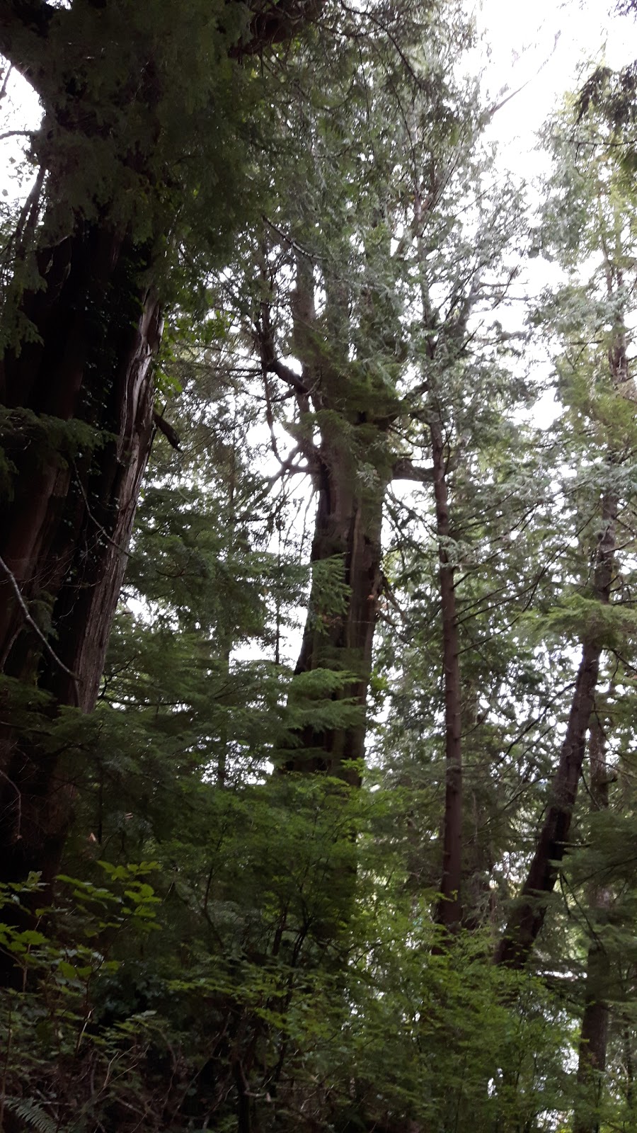 Parks Canada | Bamfield, BC V0R 1B0, Canada | Phone: (250) 728-3244