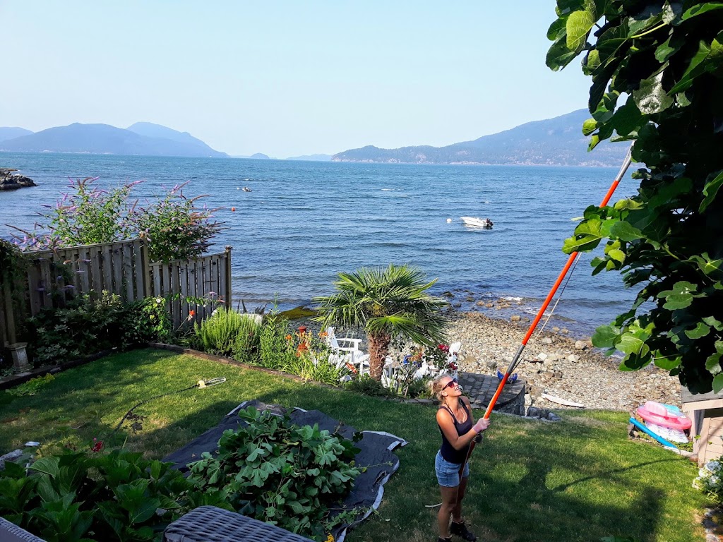 SOLscapes | 1367 Zenith Rd, Brackendale, BC V0N 1H0, Canada | Phone: (604) 360-4161
