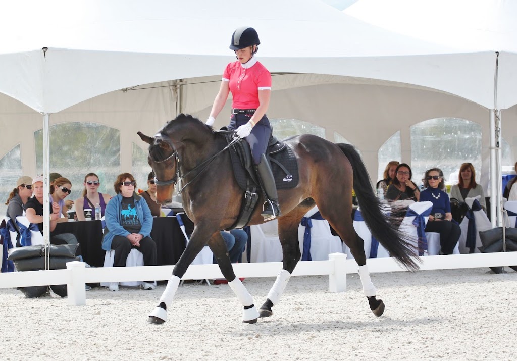 Eastgate Dressage Inc | 6404 Central Saanich Rd, Saanichton, BC V8M 1Z4, Canada | Phone: (250) 589-0415