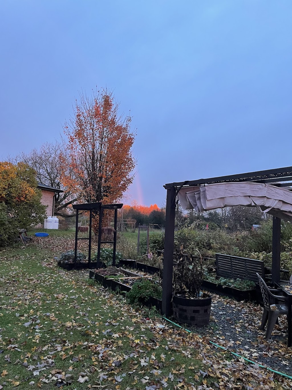 Dragonfly Visions | 2824 Goodstown Rd, Richmond, ON K0A 2Z0, Canada | Phone: (613) 794-1276