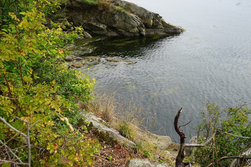 Viewpoint Trail | 245 Chuckanut Dr, Bellingham, WA 98229, USA