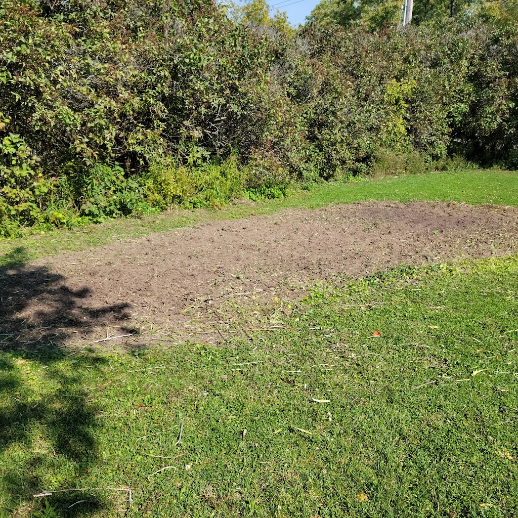 Caledon Stump Grinding | 18314 Humber Station Rd, Caledon, ON L7E 0Z5, Canada | Phone: (647) 295-0157