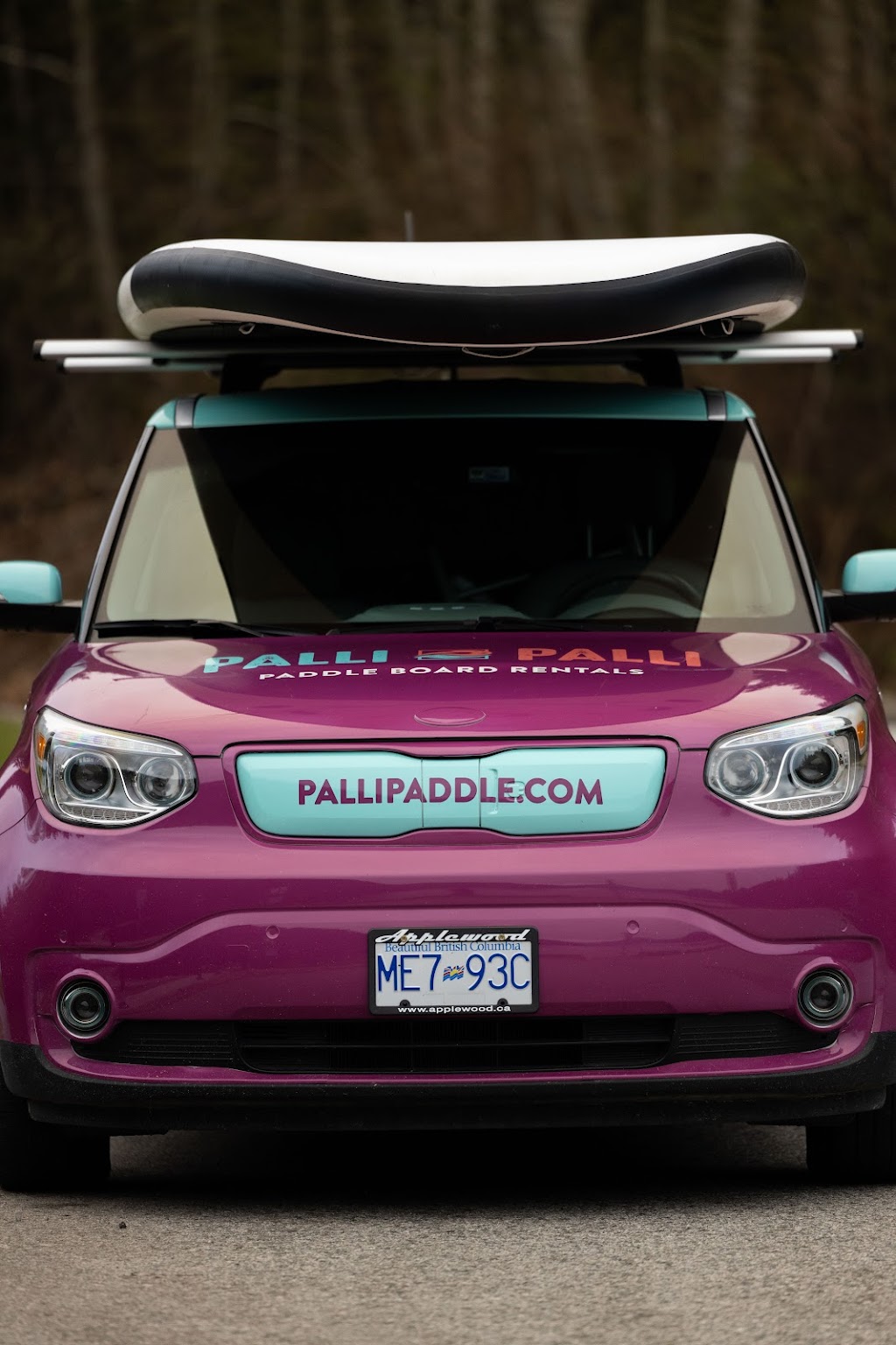 Palli Palli Mobile Paddle Board Rentals - South Sunshine Coast | point of interest | 5009 Gonzales Rd, Madeira Park, BC V0N 2H1, Canada | 6042237284 OR +1 604-223-7284