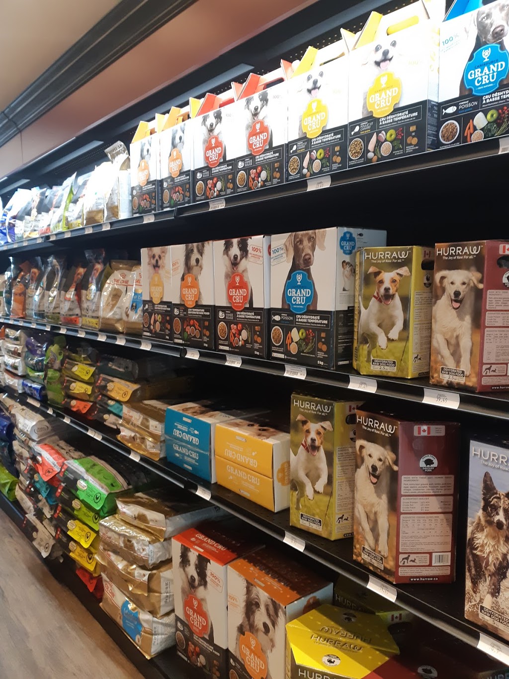 Pitou Minou & Compagnons Global / Global PetFood | 3 Boulevard de Sardaigne, Candiac, QC J5R 0A1, Canada | Phone: (450) 241-6330