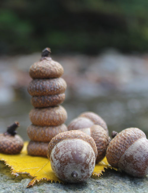 Alpines Holistic Healing | 159 Alpine Inn Rd, Christina Lake, BC V0H 1E1, Canada | Phone: (250) 447-6201