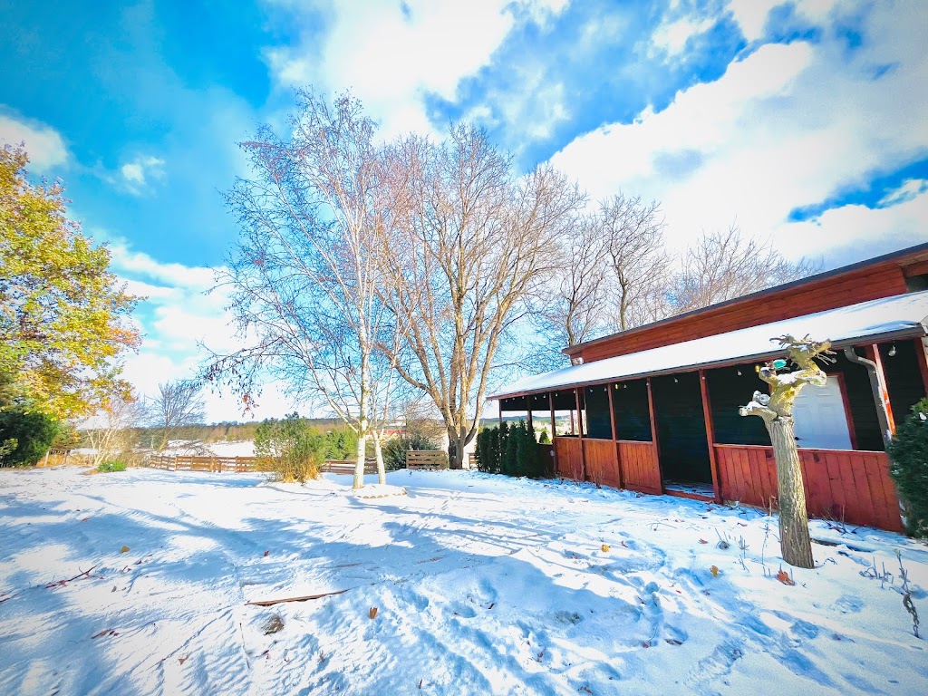 Wärme Sauna | 7247 2 Line, Tottenham, ON L0G 1W0, Canada | Phone: (416) 388-3551