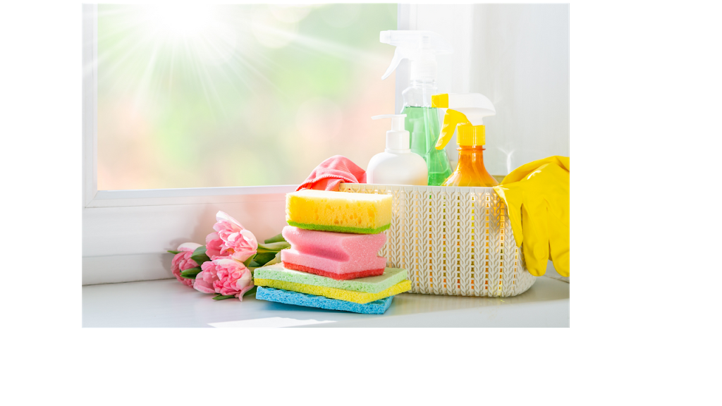 Smile Clean Canada | Brampton, ON L6P 2V2, Canada | Phone: (437) 333-6290
