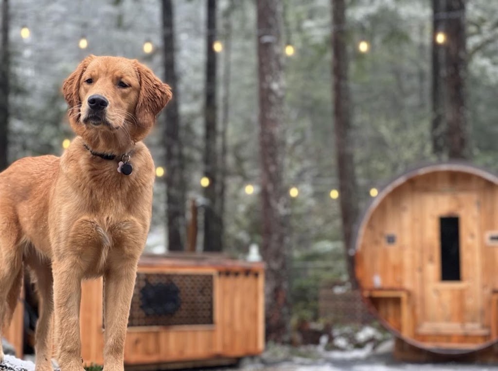 welcome pines | 5627 Curran Rd, Halfmoon Bay, BC V0N 1Y2, Canada | Phone: (250) 219-4160