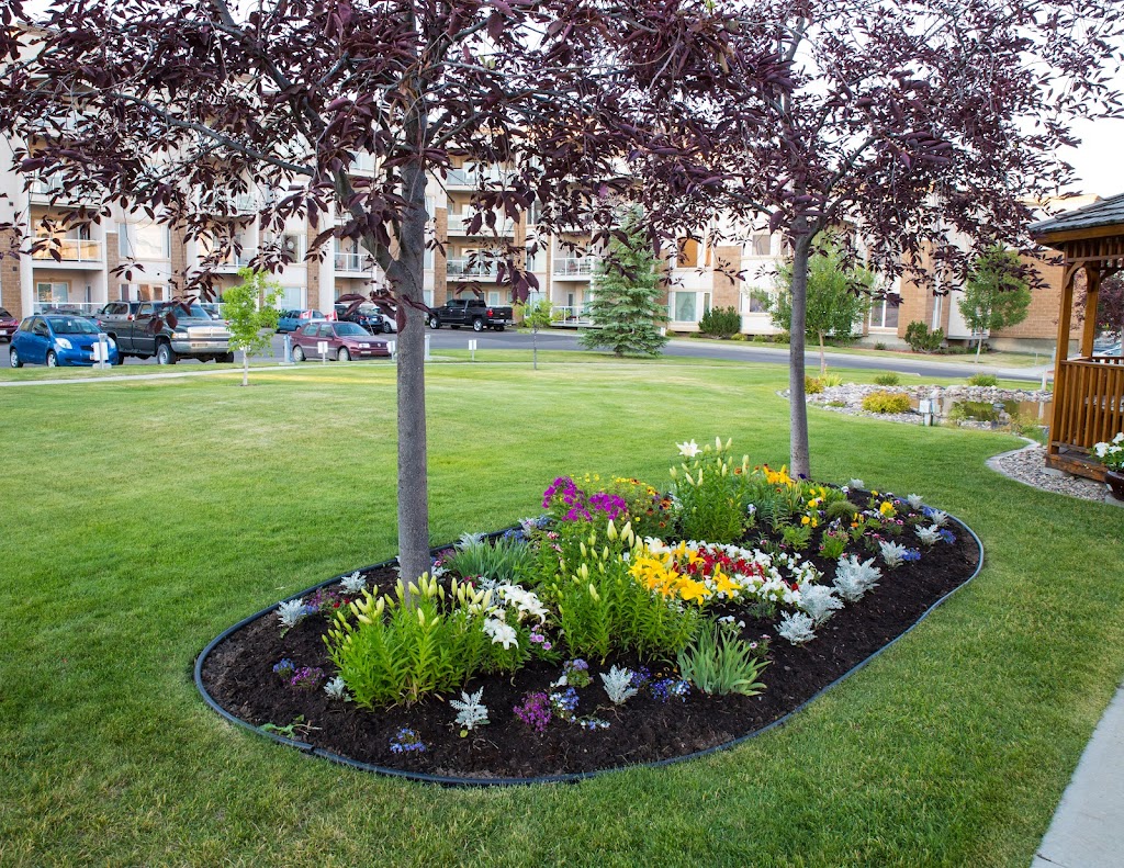 Sierras Of Courtyard Terrace | 2020 32 St S Unit 101, Lethbridge, AB T1K 7T9, Canada | Phone: (403) 329-6111